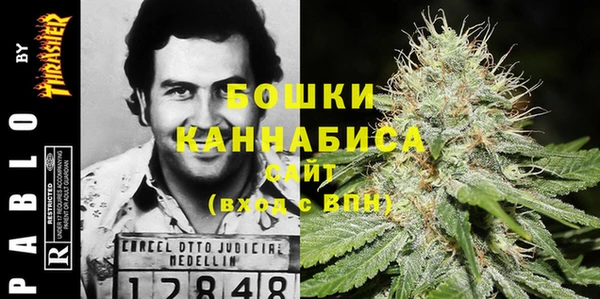 шишки Алексеевка