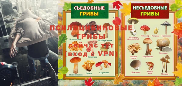 ECSTASY Абаза