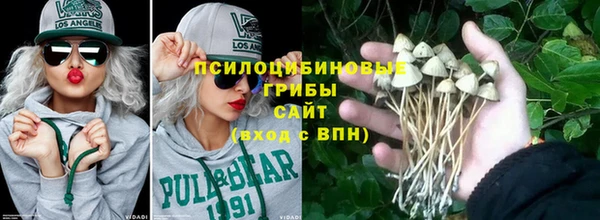 шишки Алексеевка