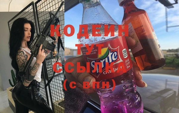 индика Абинск