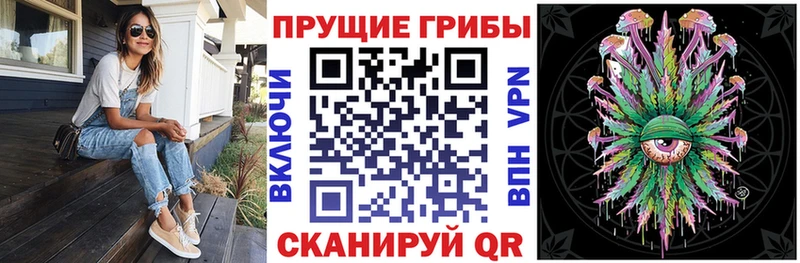 Галлюциногенные грибы Psilocybe  Чкаловск 